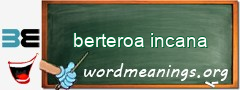 WordMeaning blackboard for berteroa incana